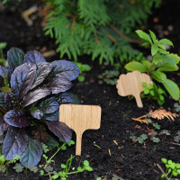 Набор садовых табличек МУЛЬТИДОМ 8 шт., размер 6x10 см VL83-33