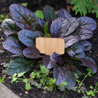 Набор садовых табличек МУЛЬТИДОМ 8 шт., размер 6x10 см VL83-33