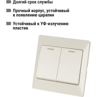 Выключатель слоновая кость 2 клавишный с подсветкой TDM ELECTRIC 10А, серия "Ильмень" SQ1823-0104
