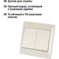 Выключатель слоновая кость 2 клавишный TDM ELECTRIC 10А, серия "Ильмень" SQ1823-0102