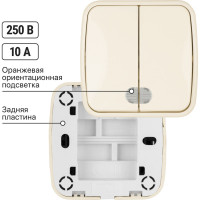 Выключатель слоновая кость 2-клавишный открытой установки с подсветкой TDM ELECTRIC IP20 10А, серия "Дача" Народная SQ1824-0017