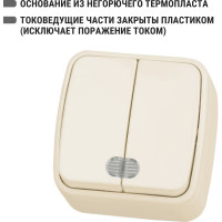 Выключатель слоновая кость 2-клавишный открытой установки с подсветкой TDM ELECTRIC IP20 10А, серия "Дача" Народная SQ1824-0017