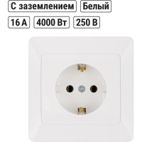 Розетка встраиваемая с заземлением 2-х полюсная 16А 220В белая "Ильмень" TDM ELECTRIC SQ1823-0010