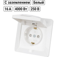 Розетка TDM ELECTRIC 2П+З с защитными шторками и крышкой 16А 250В IP44 белая "Ильмень" SQ1823-0017