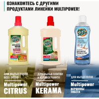 Универсальный концентрат для мытья полов PROSEPT Multipower FLOOR 1л 230-1