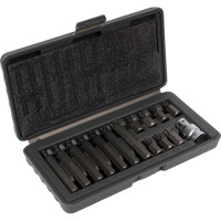 Набор бит вставок TORX (3/8", 30 мм и 75 мм, адаптер для бит 1/2" DR, 15 шт., в кейсе) Airline AT-B-21