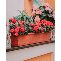 Ящик для растений с поддоном Martika Сиена 93 см, терракотовый С175-03-ТЕР