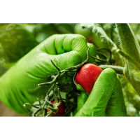 Профессиональные нитриловые перчатки gogrip, зеленые, размер М, 25 пар RP30029003_0001