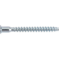 Набор евровинтов 100 шт. 7х70 мм Lemax PROF SET(KF-01-770)