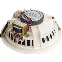 Потолочный громкоговоритель Tantos TSo-PW10a 00-00026419