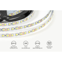 Светодиодная лента OGM 12В, 9,6Вт/м, smd2835, 120д/м, ip20, 7лм/чип, подложка 8мм, 5м, 6500к. / LSE-258