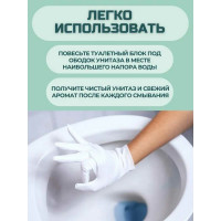 Блок для унитаза Royals Swan PREMIUM 40 гр, Эвкалиптовый бриз RSWBD05