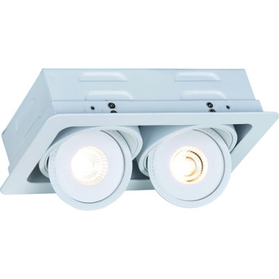 Потолочный светильник ARTE LAMP A3007PL-2WH