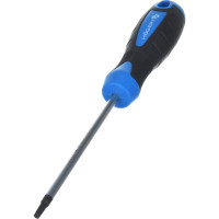 Отвертка HOEGERT TECHNIK TORX T20, 100 мм, сталь S2 HT1S055