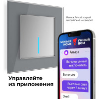 Умный сенсорный 1-клавишный выключатель WERKEL W4510606 серебряный a048323