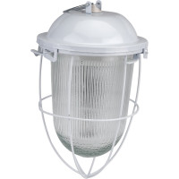 Светильник с решеткой ЭРА НСП 41-200-003 Желудь сталь стекло IP54 E27 max 200Вт белый Б0052020
