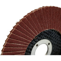 Круг лепестковый плоский 125х22 мм, P100 Gepard GP5016-100