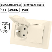 Двойная розетка TDM ELECTRIC Таймыр 2П+З с защитными шторками и крышкой 16А 250В IP44 слоновая кость SQ1814-0176