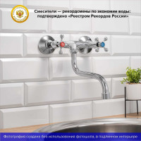 Смеситель для кухни с длинным изливом РМС SL71-361