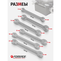 Набор рожковых ключей Forsage  6пр, 8x10,12x13,14x15,16x17,18x19,22x24мм, в пластиковом держателе F-5062MP 51189 F-5062MP(51189)