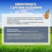 Семена Сила Суздаля Семена Мятлика 300 г 4680004061120