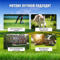 Семена Сила Суздаля Семена Мятлика 300 г 4680004061120