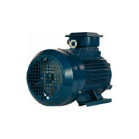 Электродвигатель 5АИ 100 L2 5.5/3000 IM 1081 01.01.213567