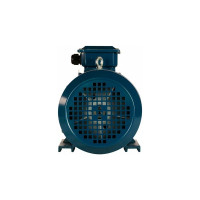 Электродвигатель 5АИ 100 L2 5.5/3000 IM 1081 01.01.213567
