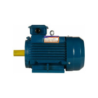 Электродвигатель 5АИ 100 L2 5.5/3000 IM 1081 01.01.213567