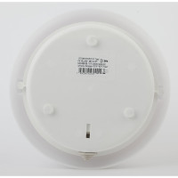 Светильник ЭРА НБП 0660002 Сириус, поликарбонат, IP54, E27, max 60Вт, D220, круг, матовый, 5/175 Б0048408