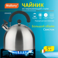 Чайник Mallony GRANDE объем 5 л, из нержавеющей стали со свистком, с бакелитовой ручкой, матовый 985619