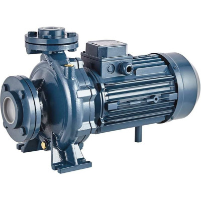 Моноблочный фланцевый насосный агрегат Purity PSTC 32-250/55D 100580122
