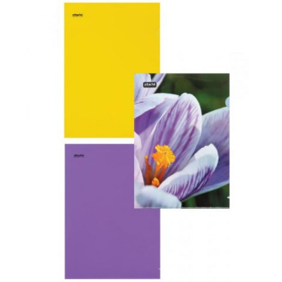 Папка-уголок Attache Selection Crocus 845454