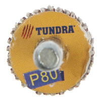ТУНДРА Круг лепестковый радиальный, 20 х 20 х 6 мм, Р80 5162347