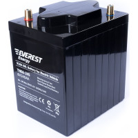 Тяговая аккумуляторная батарея EVEREST Energy TNE 6-245