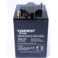 Тяговая аккумуляторная батарея EVEREST Energy TNE 6-245
