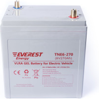 Тяговая аккумуляторная батарея EVEREST Energy TNE 6-270
