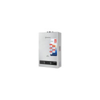 Газовый проточный бытовой водонагреватель Термекс THERMEX B 20 D (Silver) ЭдЭБ02408