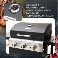 Газовый 3-х комфорочный гриль Forester решетки-гриль, полка для газового баллона BQ-709