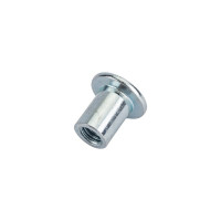 Гайка Эриксона с плоской головкой DINFIX М6, 100 шт. 00-00003063