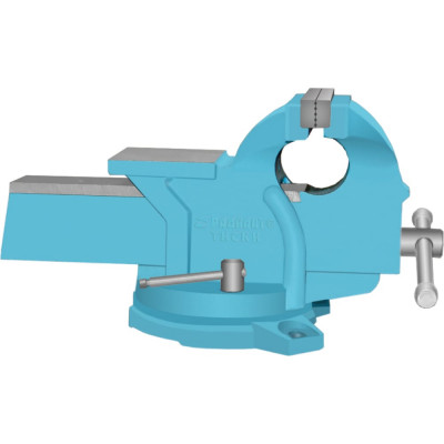Чугунные поворотные слесарные тиски РАДИАНТ ТСЧ-150 48004