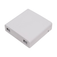 Оптическая розетка на 2 адаптера SC, 86х86х24 мм, белая LAN-SBF2-WH