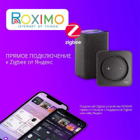 Умный Zigbee датчик открытия дверей и окон Roximo SZD08