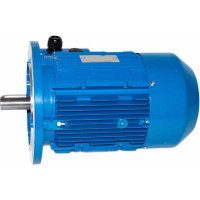 Электродвигатель 5АИ 100 L4 4/1500 IM 3081 01.01.213682