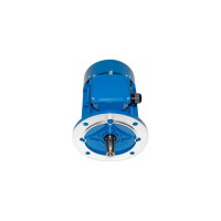 Электродвигатель 5АИ 100 L4 4/1500 IM 3081 01.01.213682