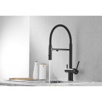 Смеситель для кухни ROSE с подключением к фильтру питьевой воды, черный R958H