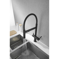 Смеситель для кухни ROSE с подключением к фильтру питьевой воды, черный R958H