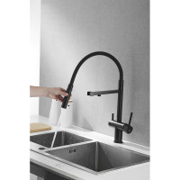 Смеситель для кухни ROSE с подключением к фильтру питьевой воды, черный R958H