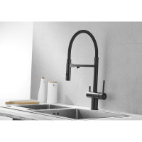 Смеситель для кухни ROSE с подключением к фильтру питьевой воды, черный R958H