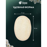 Мочалка из люфы Банные Штучки спонж овальный с хлопком, 11х16 см 40001